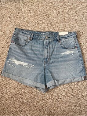 AE Strigid Denim Mom Short